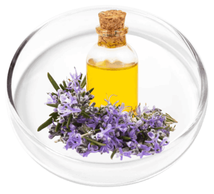 KeraFirm Pro Ingredients