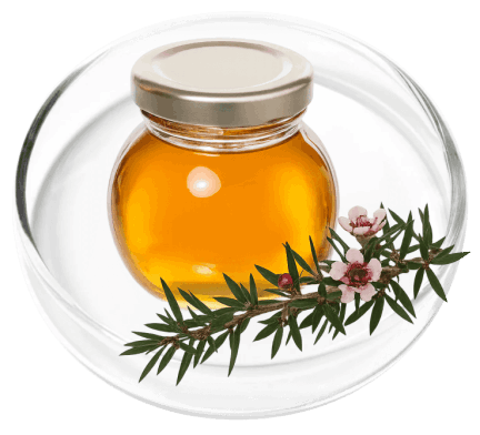 KeraFirm Pro Ingredients