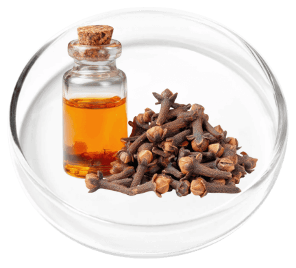 KeraFirm Pro Ingredients